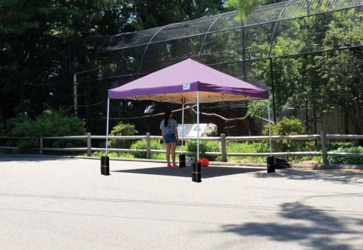 10' x 10' Pro Pop-up Canopy Straight Leg, Purple Cover