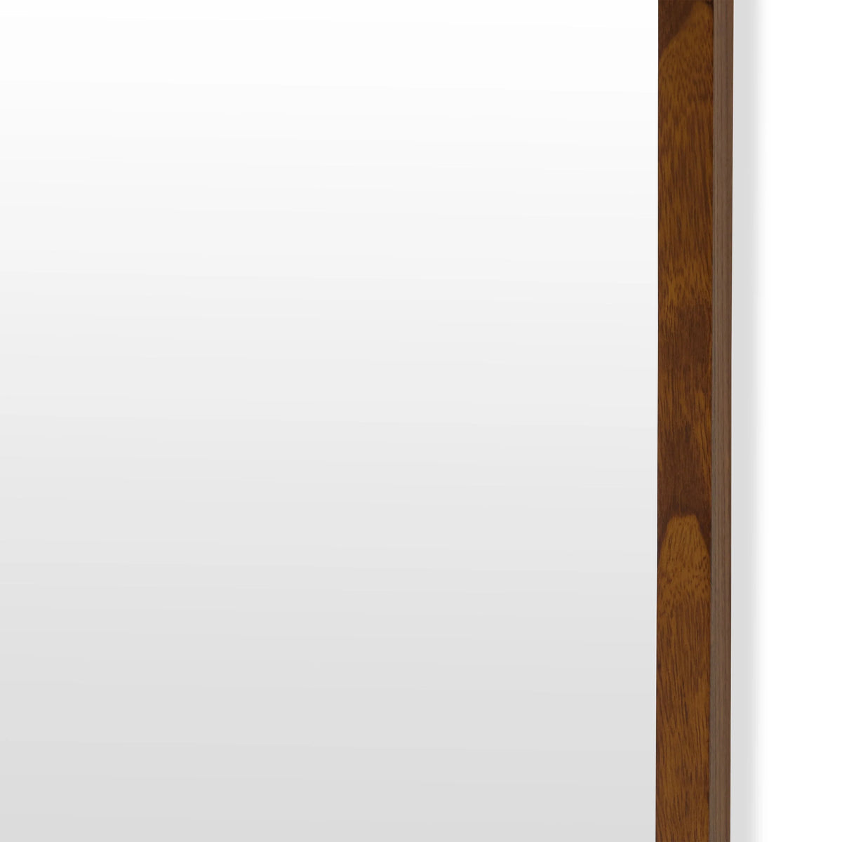 24" x 65" Brown Rectangle Wood Leaner Mirror by Drew Barrymore Flower Home